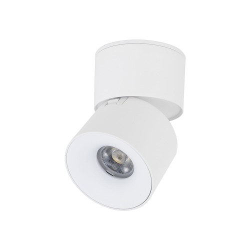 Ruchomy spot SPARK LED 10W biały aluminiowy z regulacją barwy światła 18168