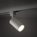 Lampa szynowa 1-obwodowa biała, złoty pierścień TRACER 10647 TK Lighting