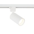 Lampa szynowa 1-obwodowa biała, złoty pierścień TRACER 10647 TK Lighting