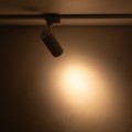 Reflektorek szynowy 1 obwodowy TRACER 20W LED CCT zmiana barwy 18180 TK Lighting