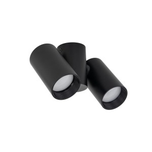 Podwójny spot sufitowy z ruchomymi reflektorkami AMIS 2xGU10 do przedpokoju 10974 TK Lighting