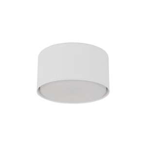 Spot natynkowy tubka biała, oświetlenie punktowe, gwint GX53 11061 TK Lighting