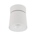 Lampa sufitowa KYOTO WHITE CCT 12W 18153 TK Lighting