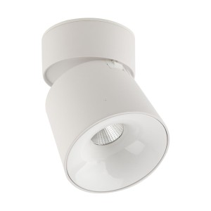 Lampa sufitowa KYOTO WHITE CCT 18W 18155 TK Lighting