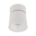 Lampa sufitowa KYOTO WHITE CCT 18W 18155 TK Lighting