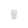 BRIX WHITE LAMPA SUFITOWA 2XGX53 11295 TK Lighting