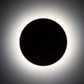 Kinkiet LUNA Czarny / jasne drewno G9 MAX 6W 5449 TK Lighting