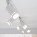 Lampa reflektor na szynę 1 fazowy TRACER GU10 WHITE RING 6898 TK Lighting