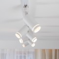 Lampa reflektor na szynę 1 fazowy TRACER GU10 WHITE RING 6898 TK Lighting