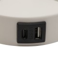 Kinkiet z włącznikami i regulowanym ramieniem, ładowanie USB 10204 TK Lighting