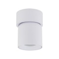 Lampa sufitowa reflektorek regulowany TWIST WHITE GU10 10576 TK Lighting